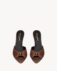 AESTHETIC BROWN