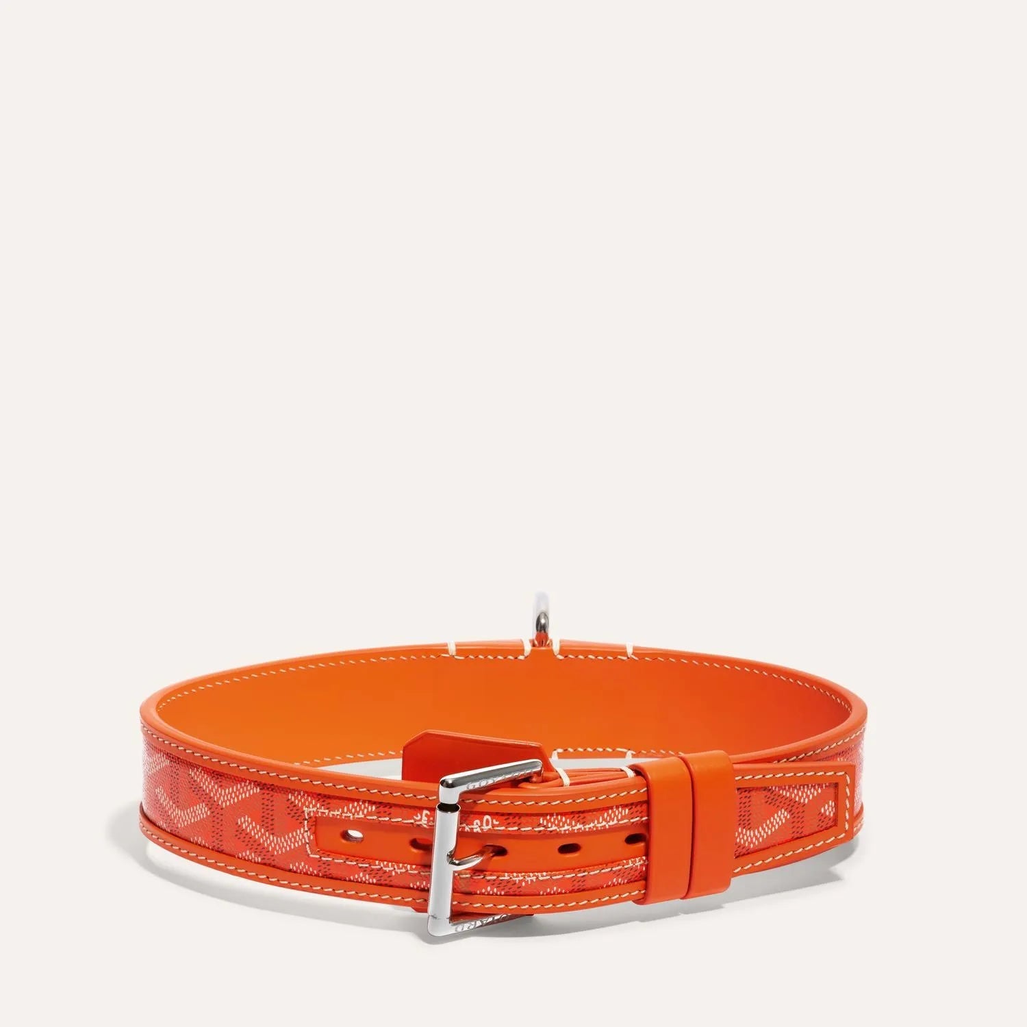 Franklin Collar With Box