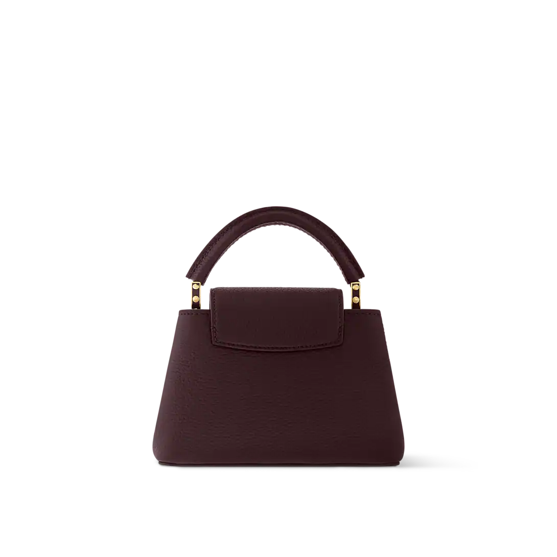 LV Capucines Mini With Box