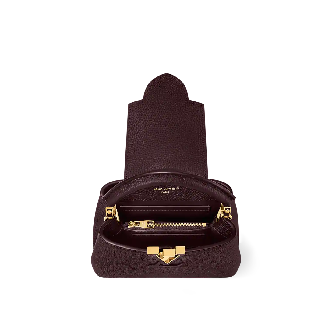 LV Capucines Mini With Box