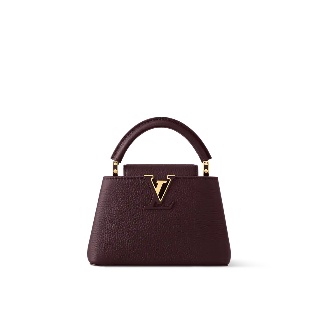 LV Capucines Mini With Box